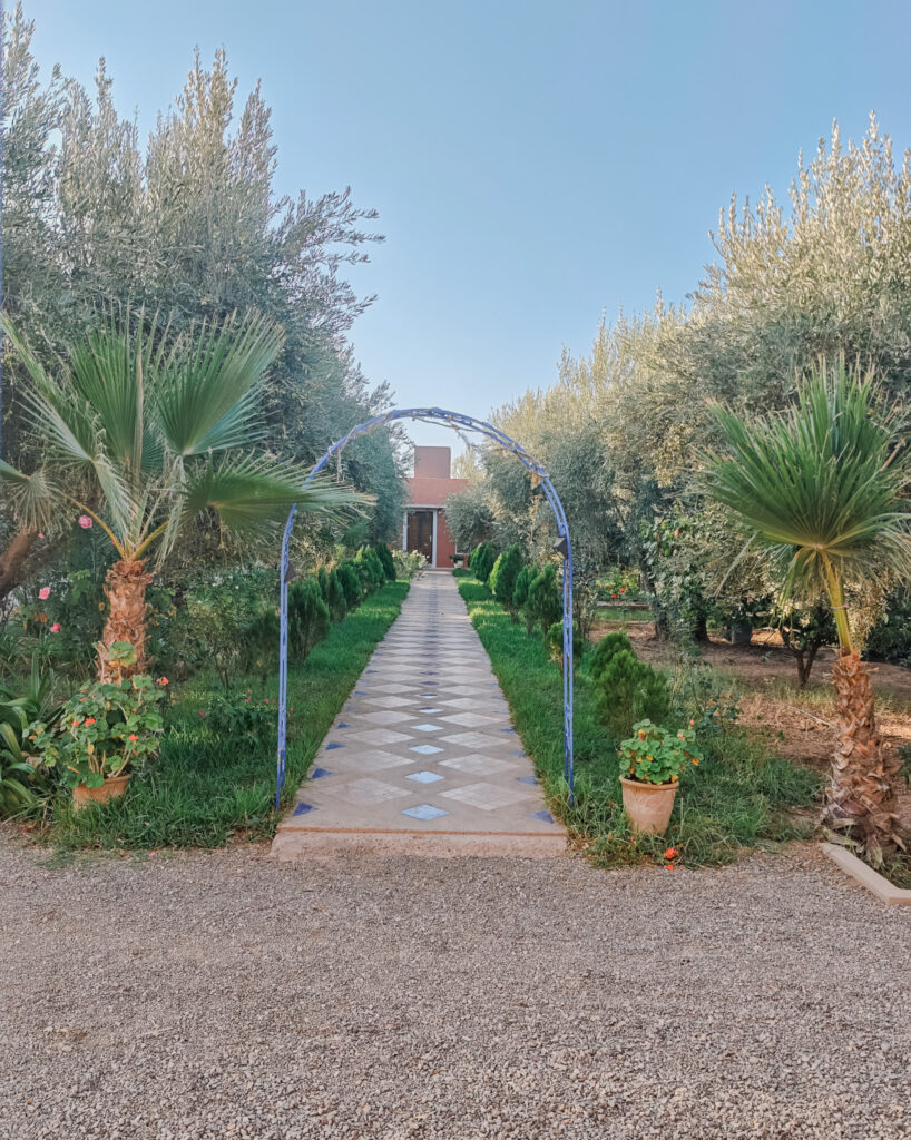 Allée du jardin bordée d’oliviers et de palmiers à Sajada, près de Marrakech